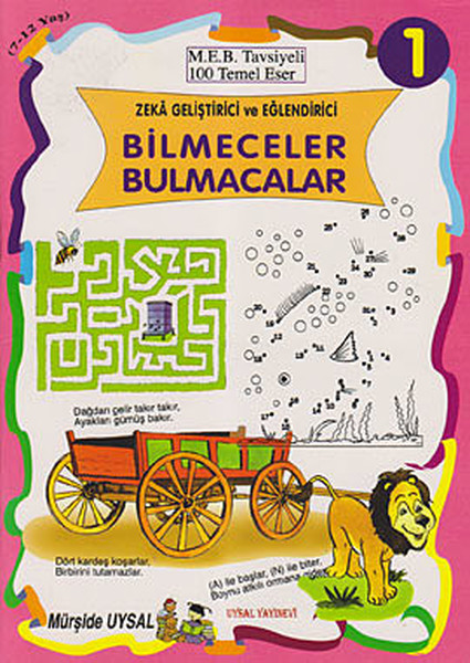 Zeka Geliştirici ve Eğlendirici Bilmeceler Bulmacalar (10  Takım)