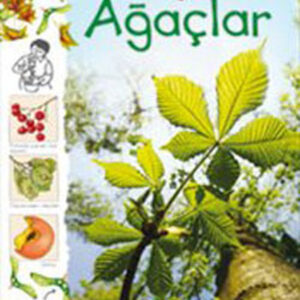 Doğa - Ağaçlar