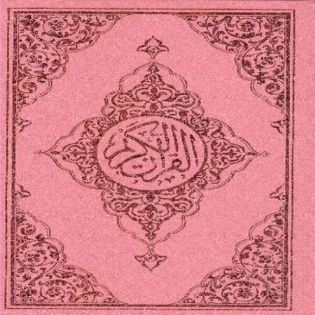 Kuranı Kerim Hafız Boy Bilgisayarlı Mavi Pembe Renk (Kod: 020)